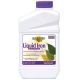 Bonide Liquid Iron 32oz Concentrate