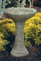 Bird Bath Daisy 1PC