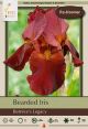 Iris Bernices Legacy