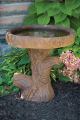 Bird Bath Tree Stump 19