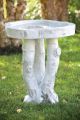 Bird Bath Birchwood 25