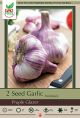 Garlic Purple Glazer 2PK