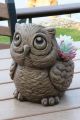 Hoot the Owl Planter