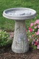 Bird Bath Dragonfly