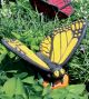 Large Yellow Butterfly