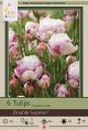 Tulip Double Suprise 6PK