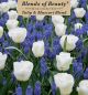 Tulip Muscari Blend 36PK