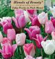 Tulip Pretty in Pink Blend 15PK