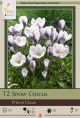 Crocus Prince Claus 12PK