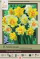 Narcissus Double Mix 8PK