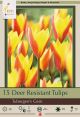 Tulips Tubergen's Gem 15PK